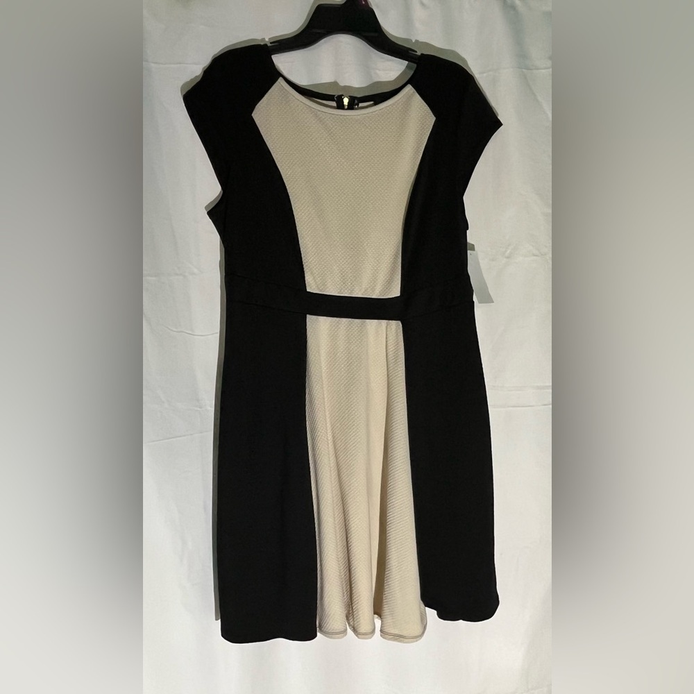 My Michelle Black and Cream Mini Dress